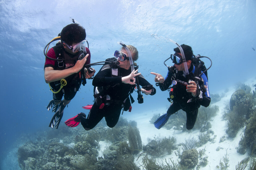 Dive instructor checking air of the divers during a dive