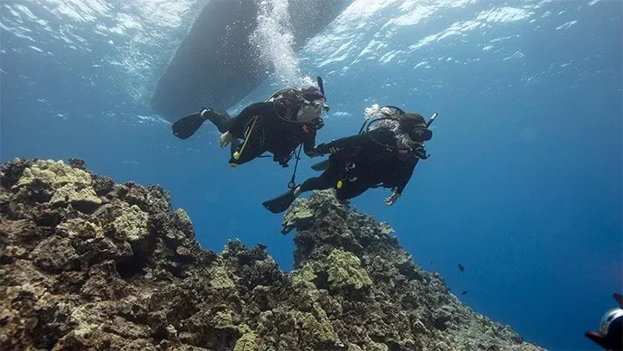 discover scuba diving 3