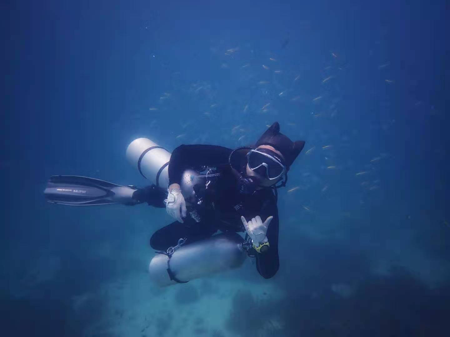 PADI Scuba Diver